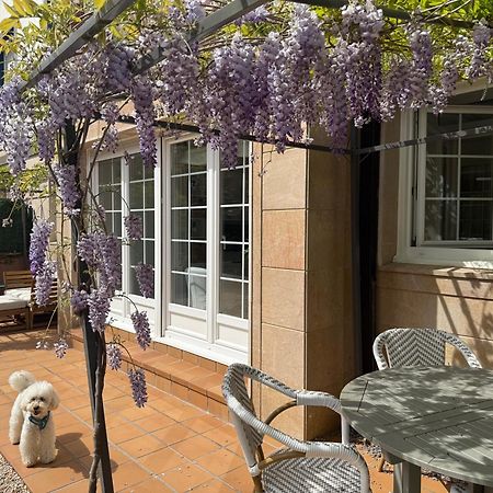 Bakea Apto Con Jardin Privado バキオ エクステリア 写真