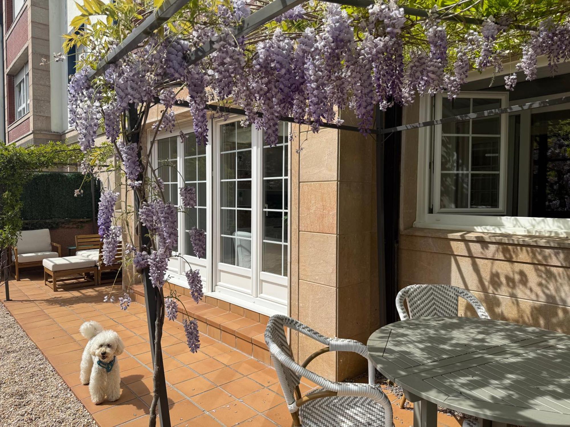 Bakea Apto Con Jardin Privado バキオ エクステリア 写真