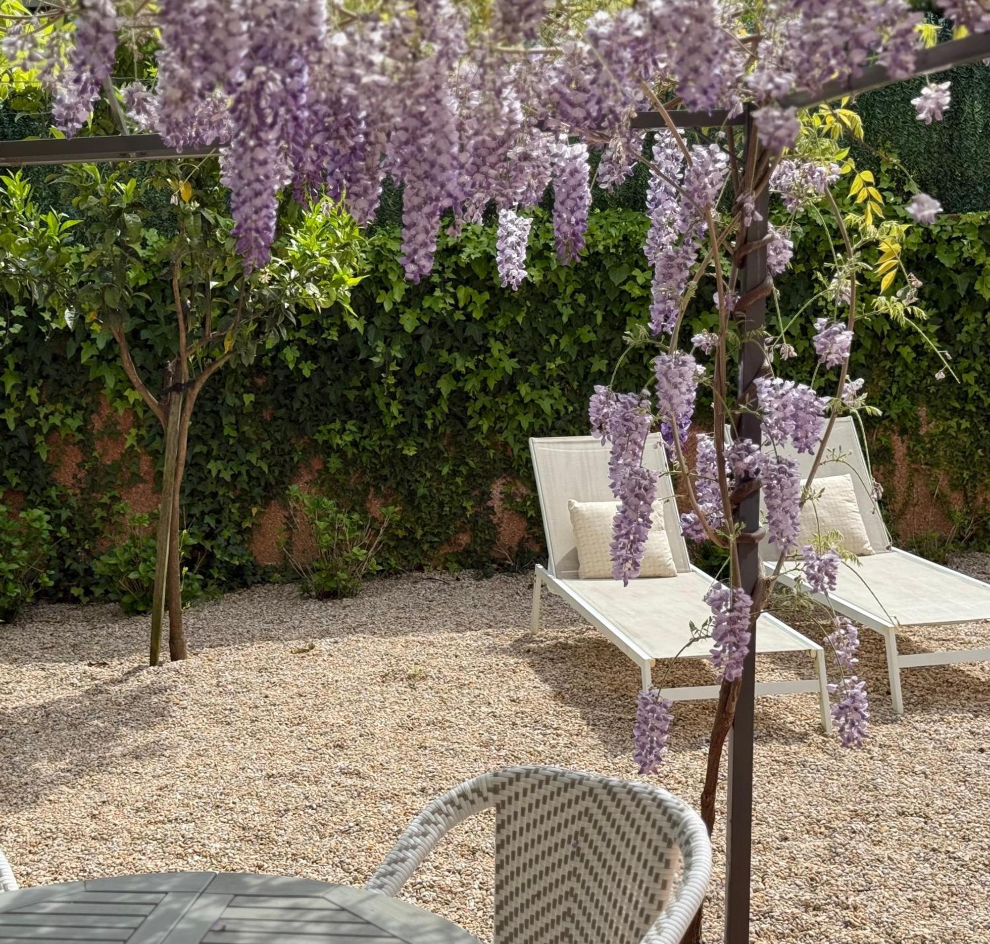Bakea Apto Con Jardin Privado バキオ エクステリア 写真